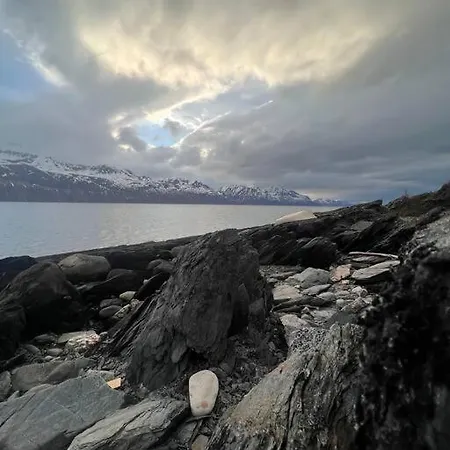 Cozy And Spacious 別荘 *